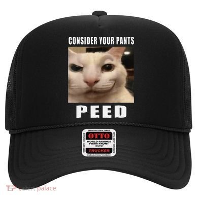 Consider Your Pants Peed Cat Funny Hat