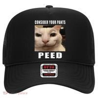 Consider Your Pants Peed Cat Funny Hat thumb 0