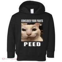 Consider Your Pants Peed Cat Funny Toddler Hoodie thumb 0