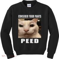 Consider Your Pants Peed Cat Funny Kids Sweatshirt thumb 0