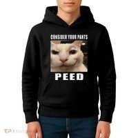 Consider Your Pants Peed Cat Funny Kids Hoodie thumb 4