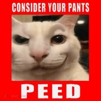 Consider Your Pants Peed Cat Funny Santa Hat thumb 1