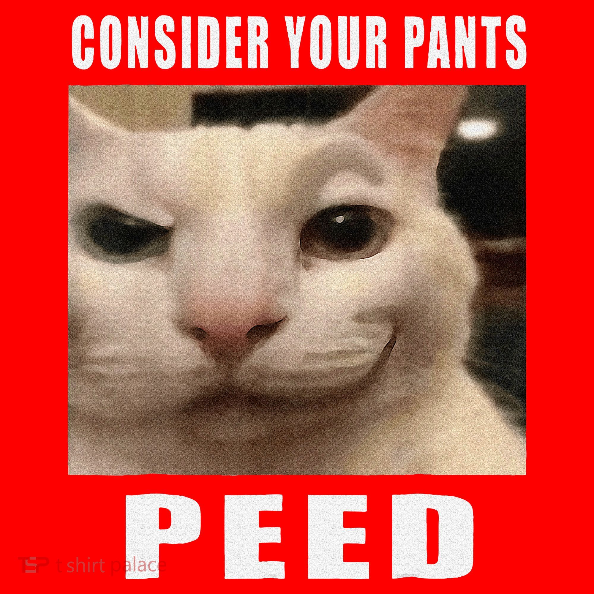 Consider Your Pants Peed Cat Funny Santa Hat