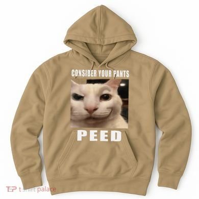 Consider Your Pants Peed Cat Funny Hoodie