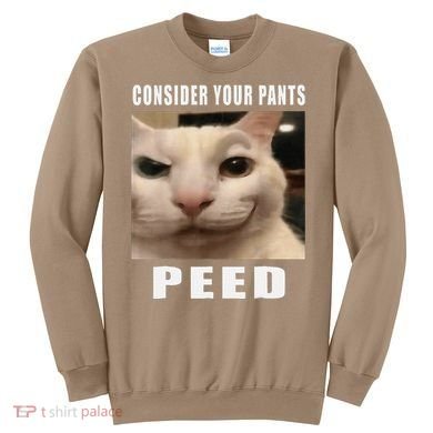 Consider Your Pants Peed Cat Funny Sweatshirt