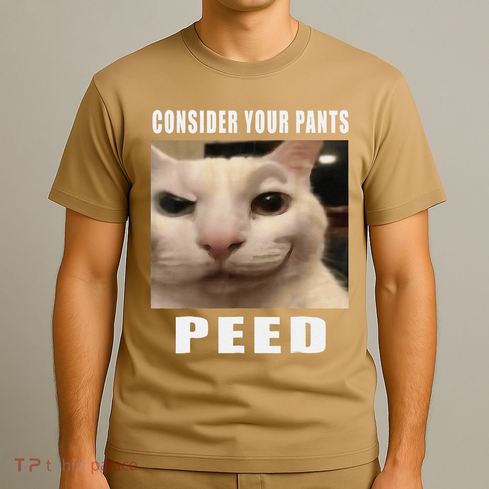 Consider Your Pants Peed Cat Funny T-Shirt