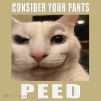 Consider Your Pants Peed Cat Funny Mousepad thumb 1