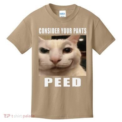 Consider Your Pants Peed Cat Funny Kids T-Shirt