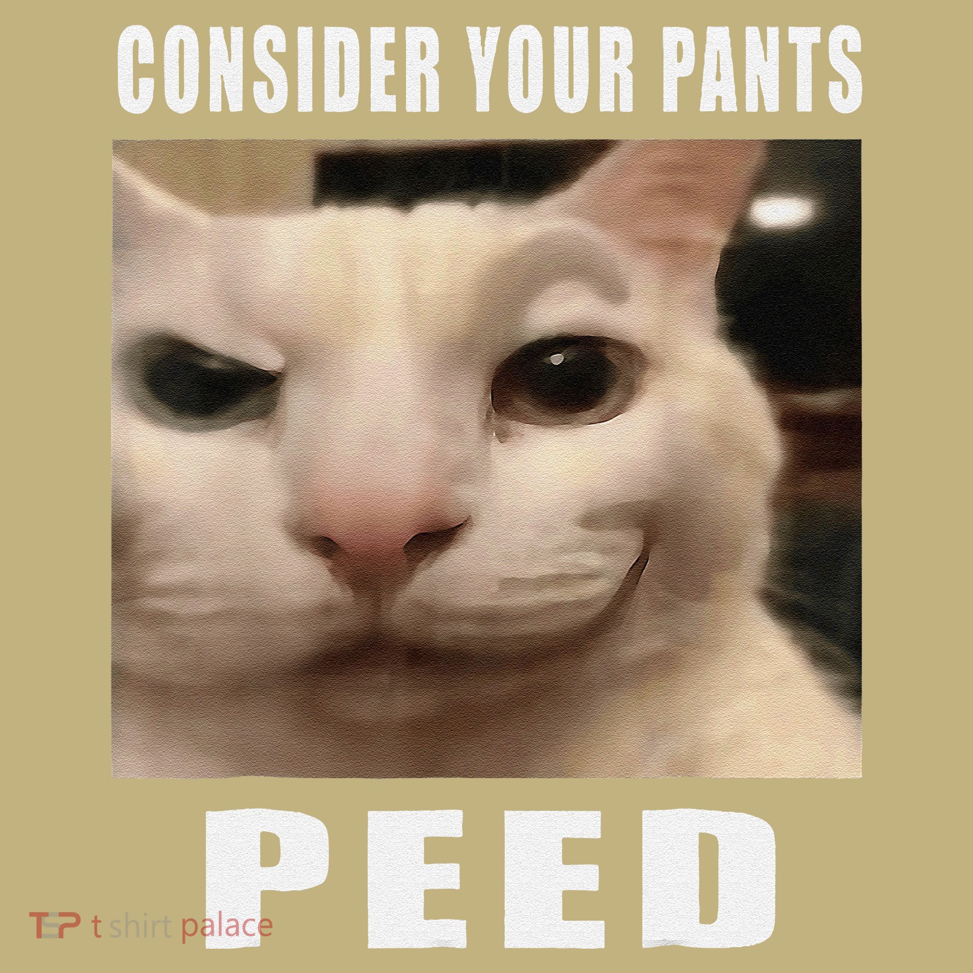 Consider Your Pants Peed Cat Funny Kids T-Shirt