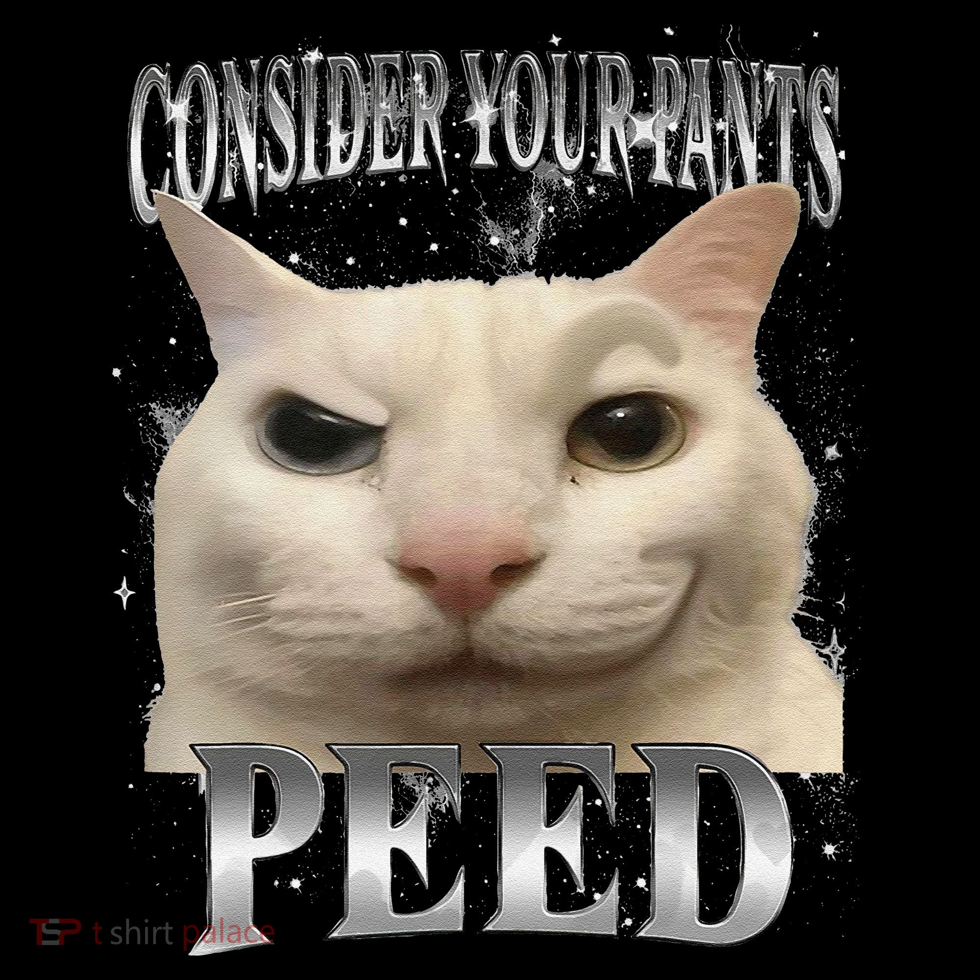 Consider Your Pants Peed Silly Cat Meme Apron