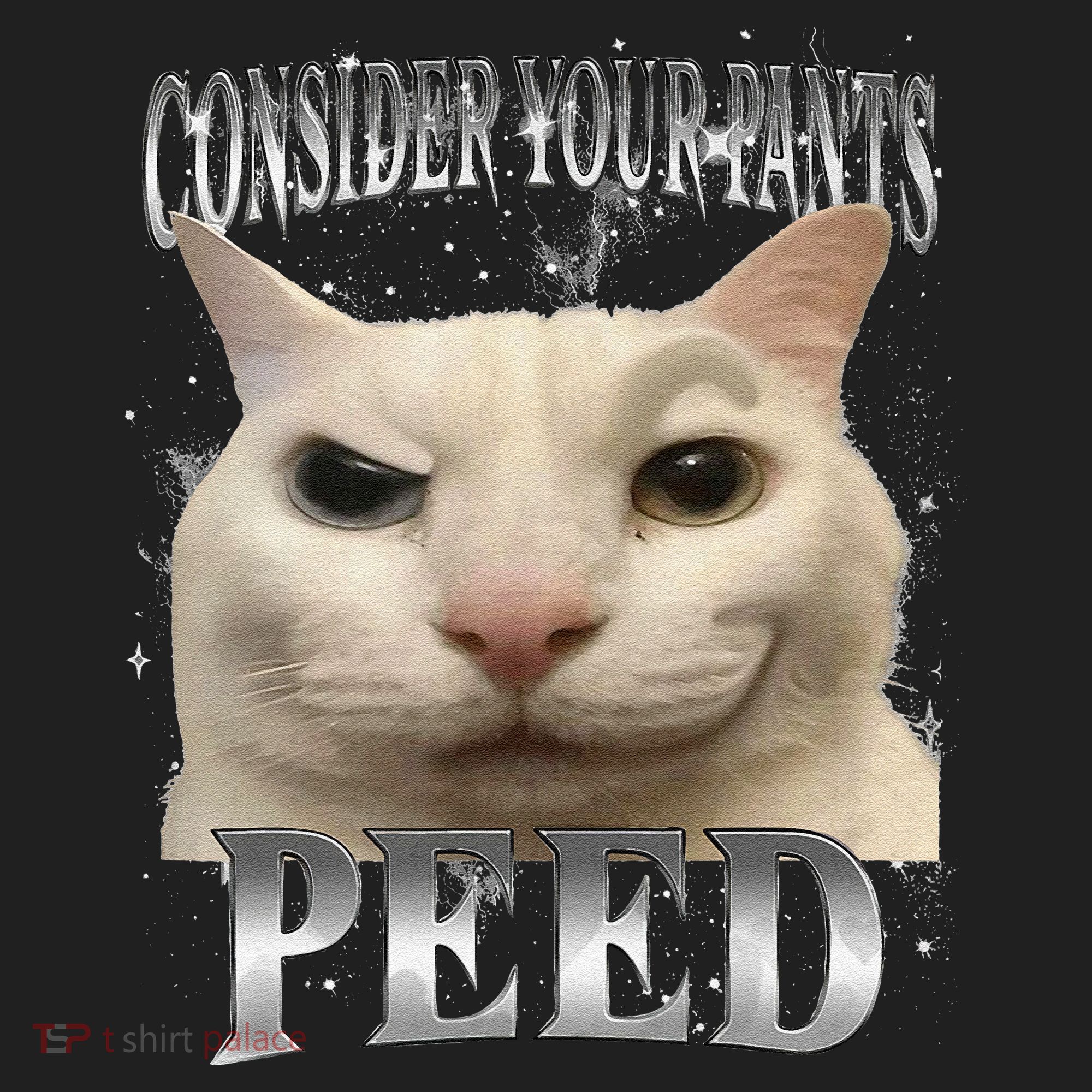 Consider Your Pants Peed Silly Cat Meme Beanie