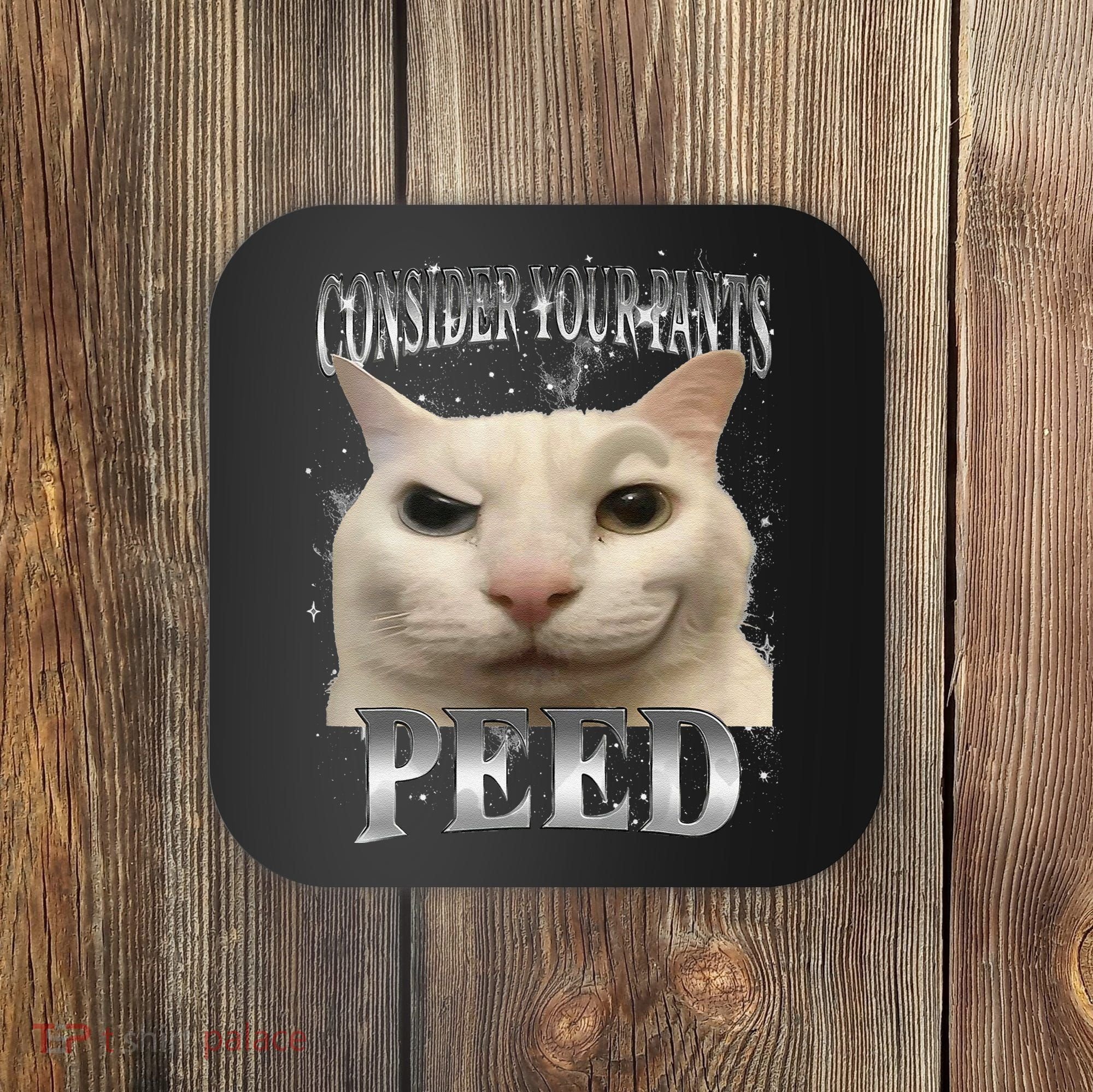 Consider Your Pants Peed Silly Cat Meme Coaster