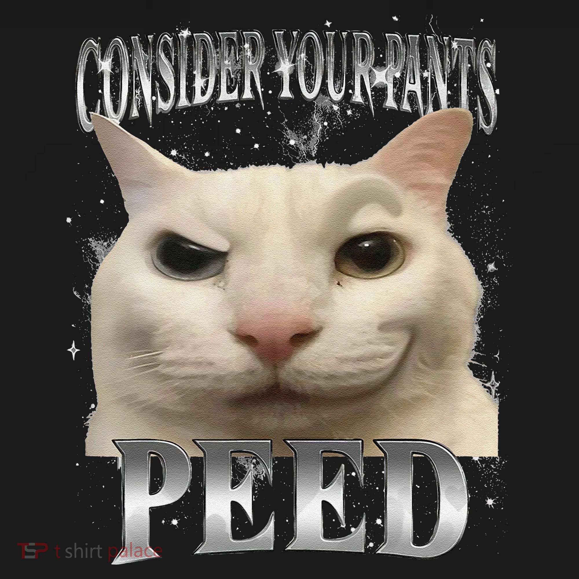 Consider Your Pants Peed Silly Cat Meme Pajama Set