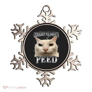 Consider Your Pants Peed Silly Cat Meme Ornament