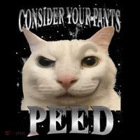 Consider Your Pants Peed Silly Cat Meme Ornament thumb 1