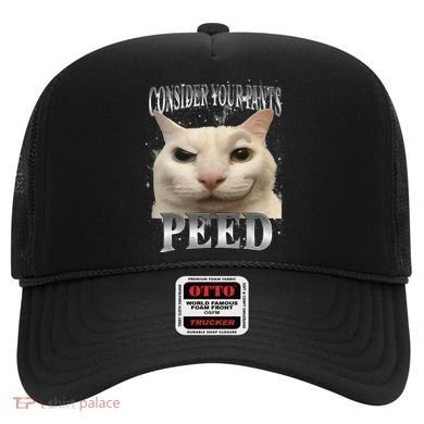 Consider Your Pants Peed Silly Cat Meme Hat