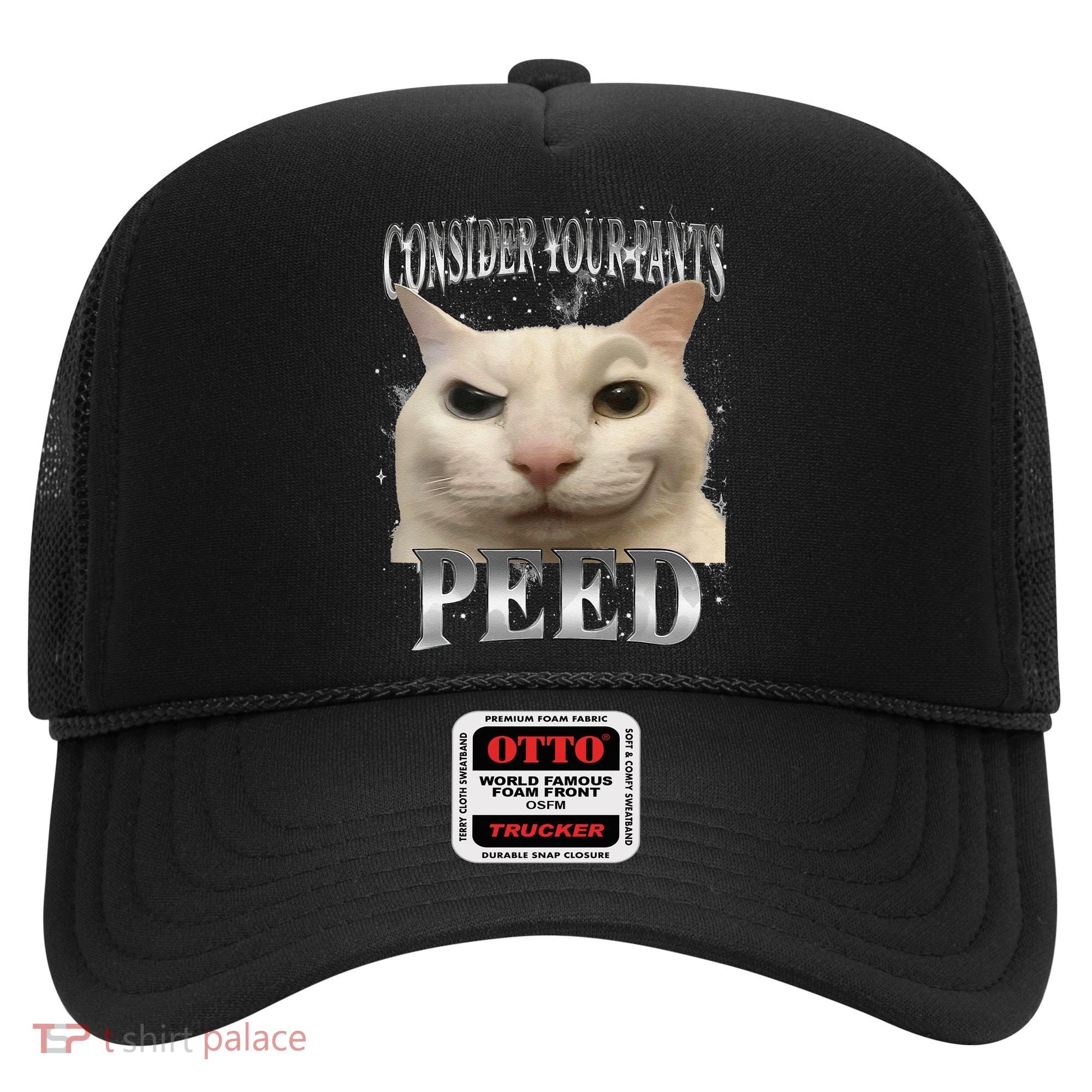 Consider Your Pants Peed Silly Cat Meme Hat