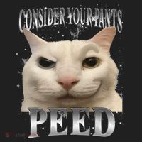 Consider Your Pants Peed Silly Cat Meme Hat thumb 2