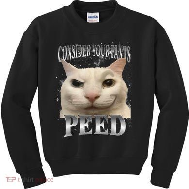 Consider Your Pants Peed Silly Cat Meme Kids Sweatshirt