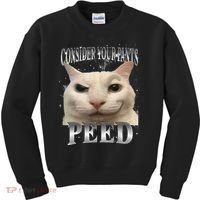 Consider Your Pants Peed Silly Cat Meme Kids Sweatshirt thumb 0