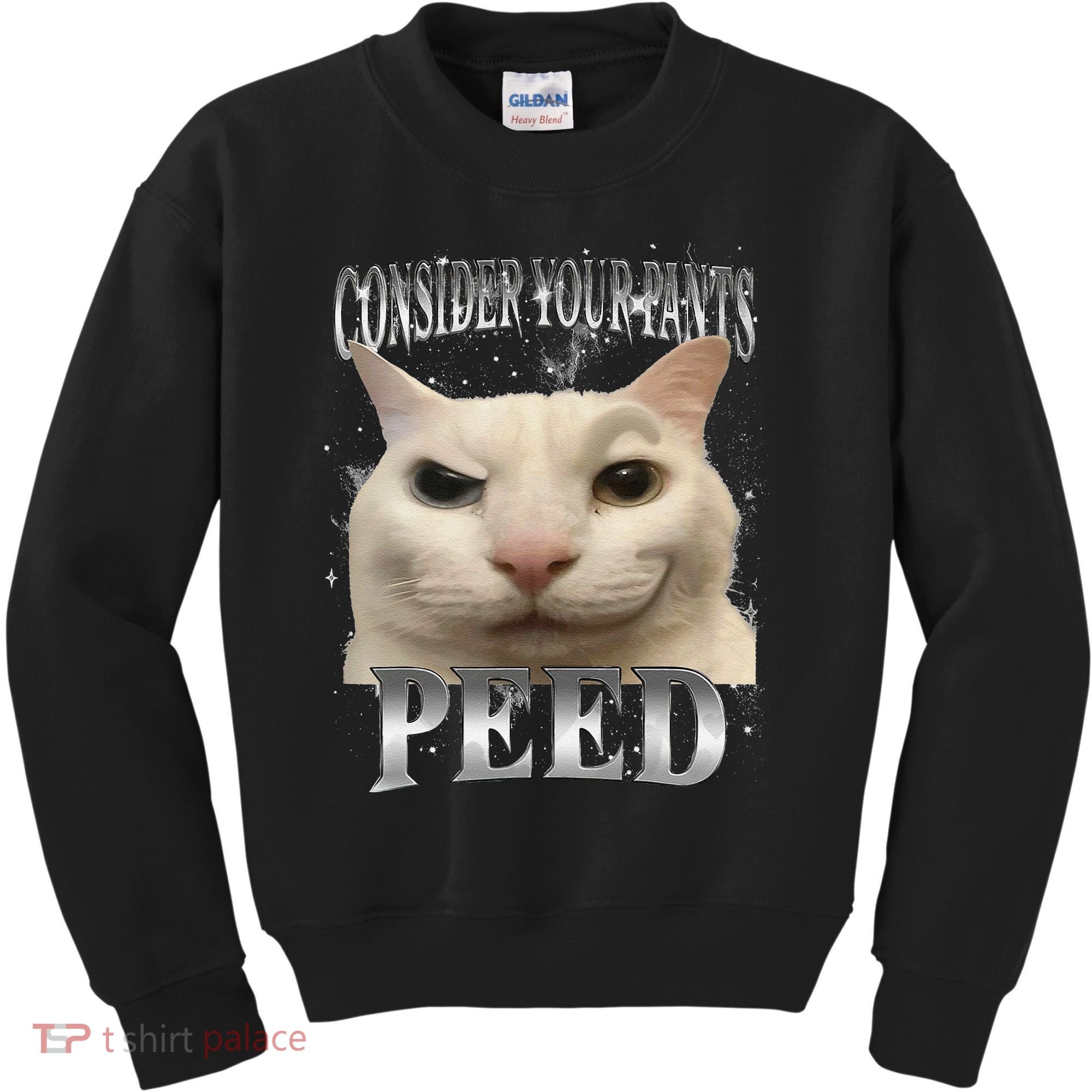 Consider Your Pants Peed Silly Cat Meme Kids Sweatshirt