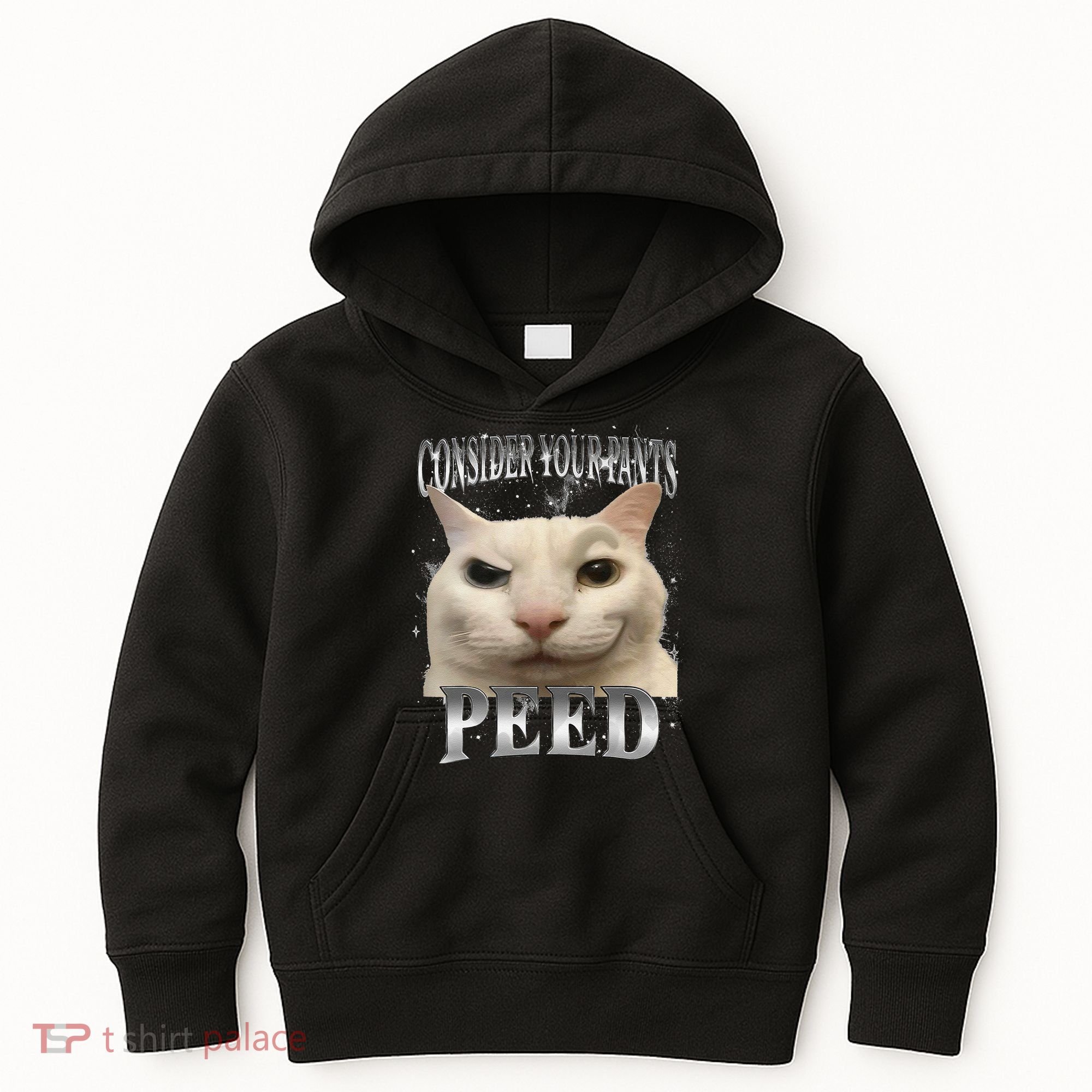 Consider Your Pants Peed Silly Cat Meme Kids Hoodie