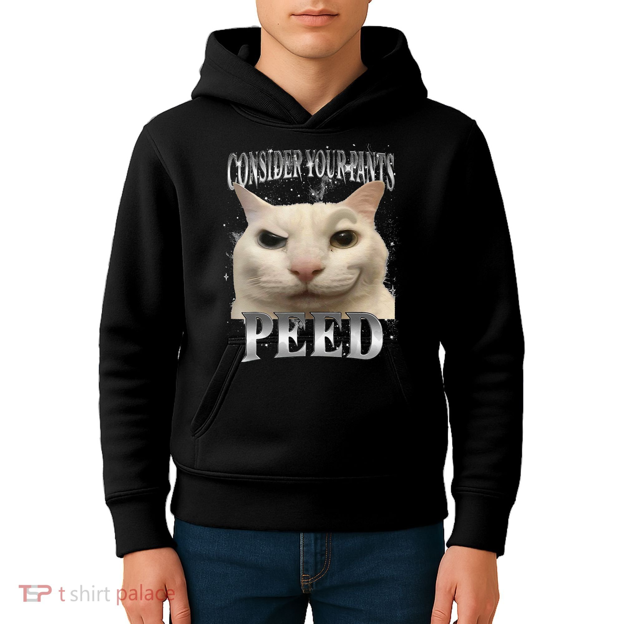Consider Your Pants Peed Silly Cat Meme Kids Hoodie