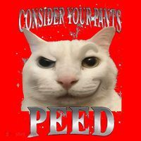 Consider Your Pants Peed Silly Cat Meme Santa Hat thumb 1