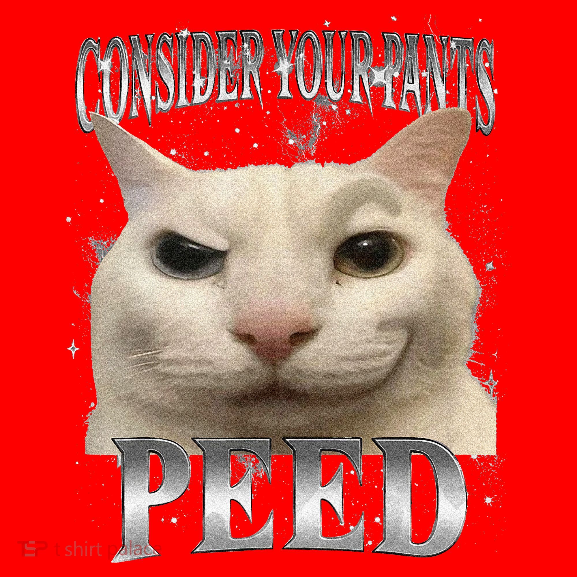 Consider Your Pants Peed Silly Cat Meme Santa Hat