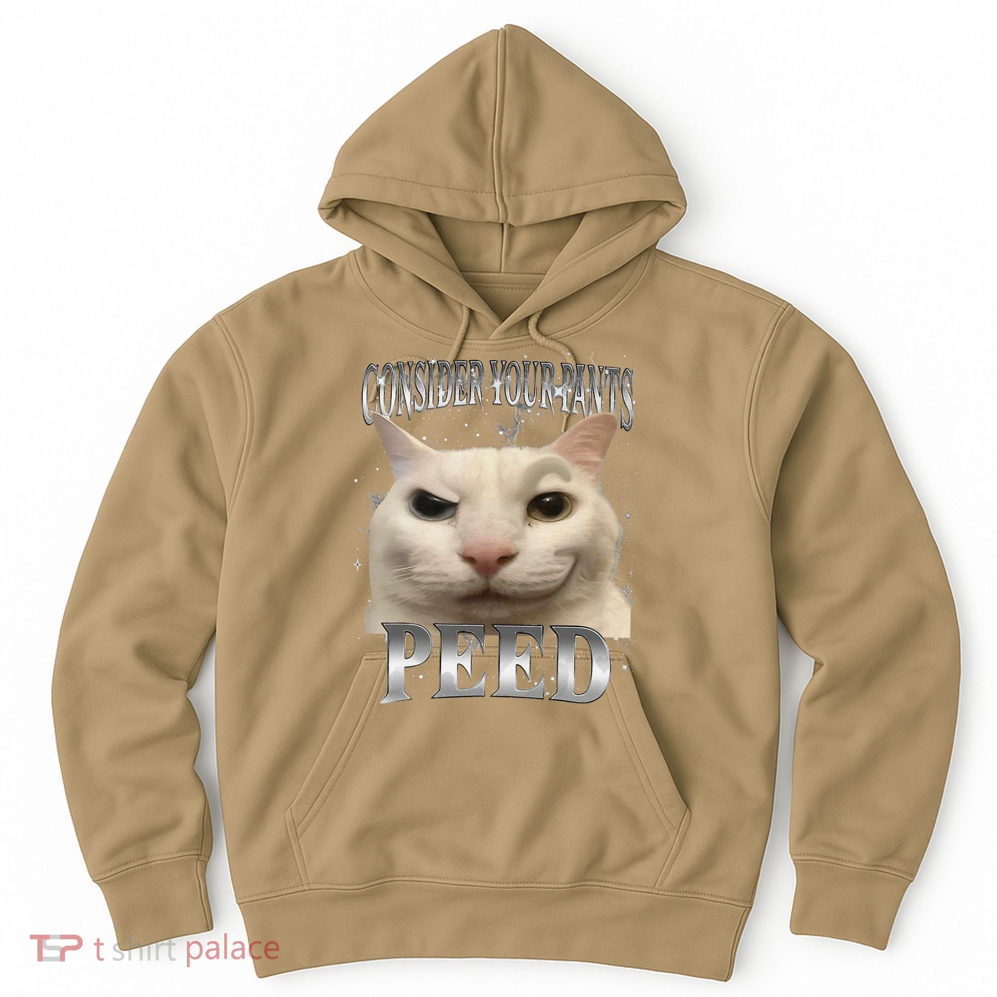 Consider Your Pants Peed Silly Cat Meme Hoodie