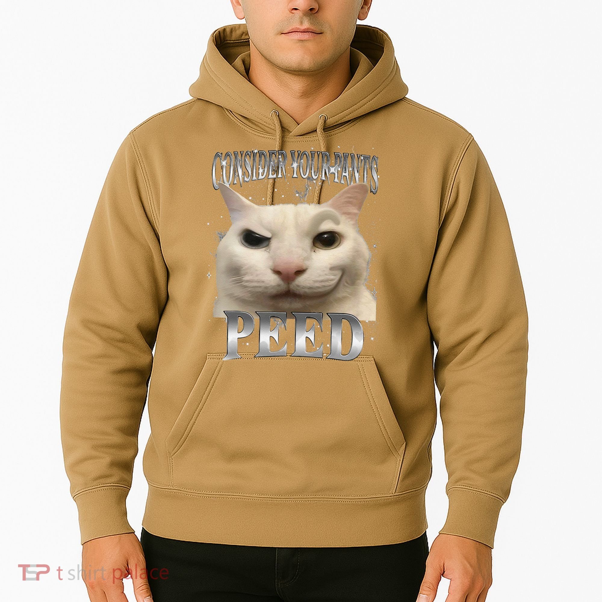 Consider Your Pants Peed Silly Cat Meme Hoodie