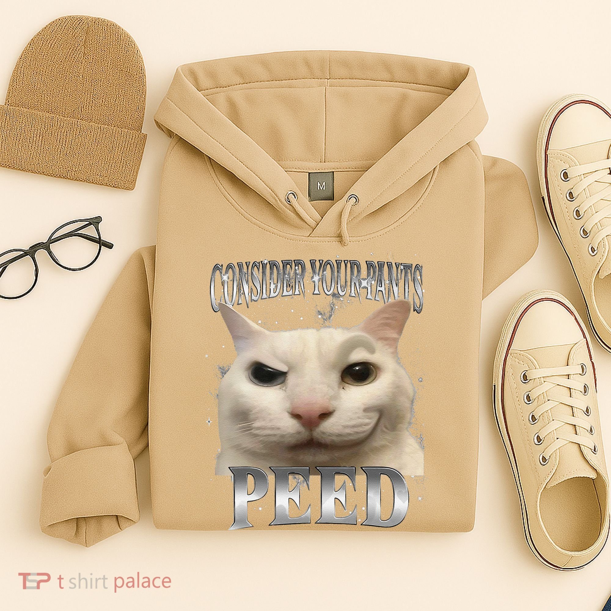 Consider Your Pants Peed Silly Cat Meme Hoodie