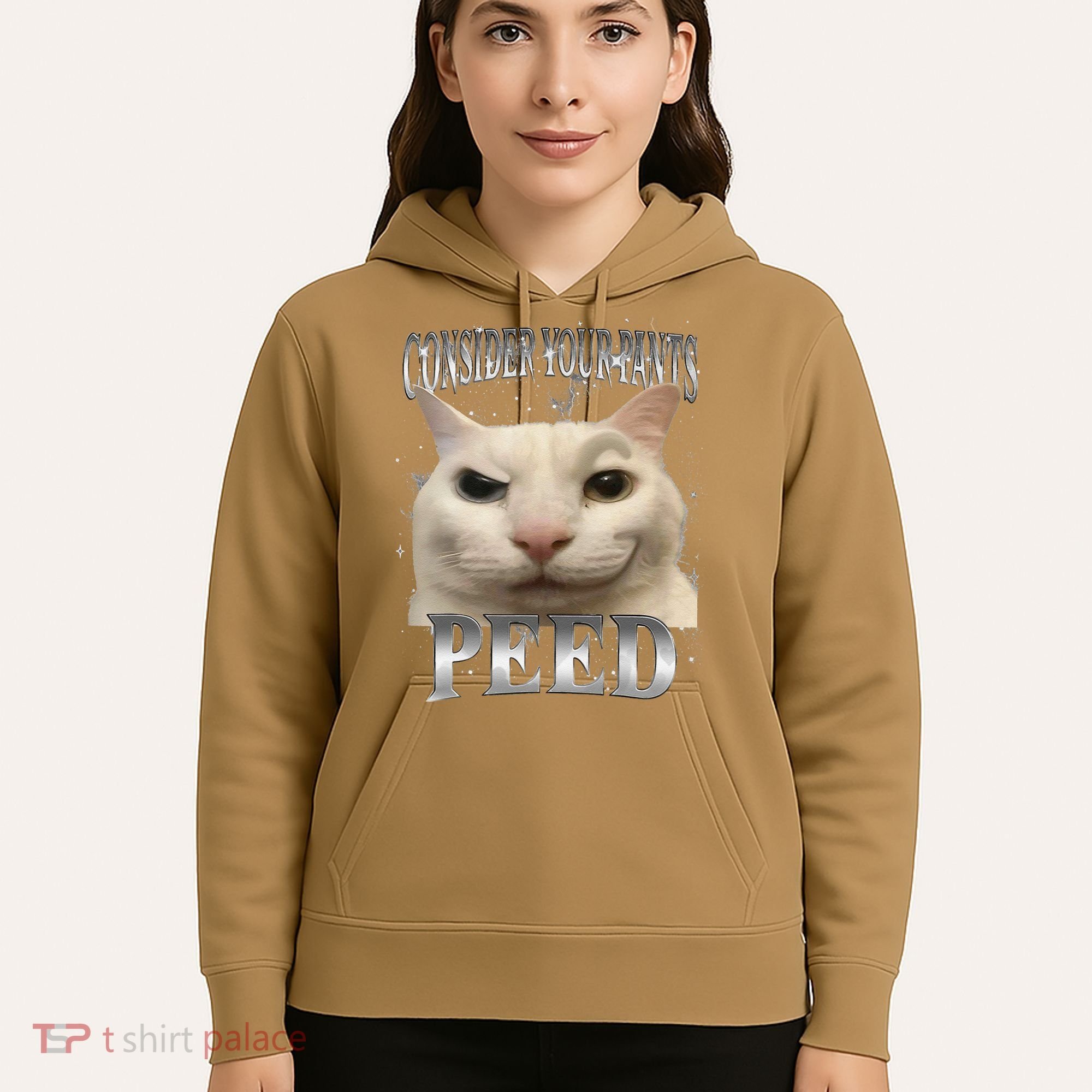 Consider Your Pants Peed Silly Cat Meme Hoodie