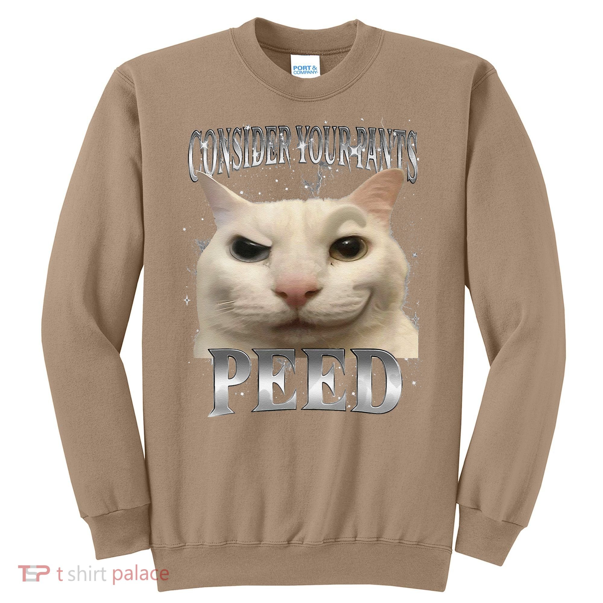 Consider Your Pants Peed Silly Cat Meme Sweatshirt