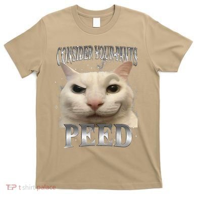 Consider Your Pants Peed Silly Cat Meme T-Shirt