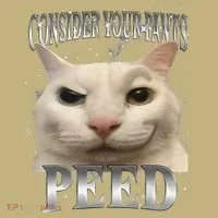Consider Your Pants Peed Silly Cat Meme Mousepad thumb 1