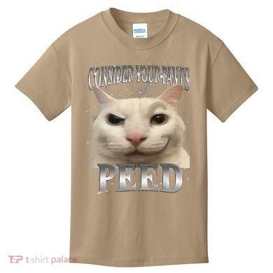 Consider Your Pants Peed Silly Cat Meme Kids T-Shirt
