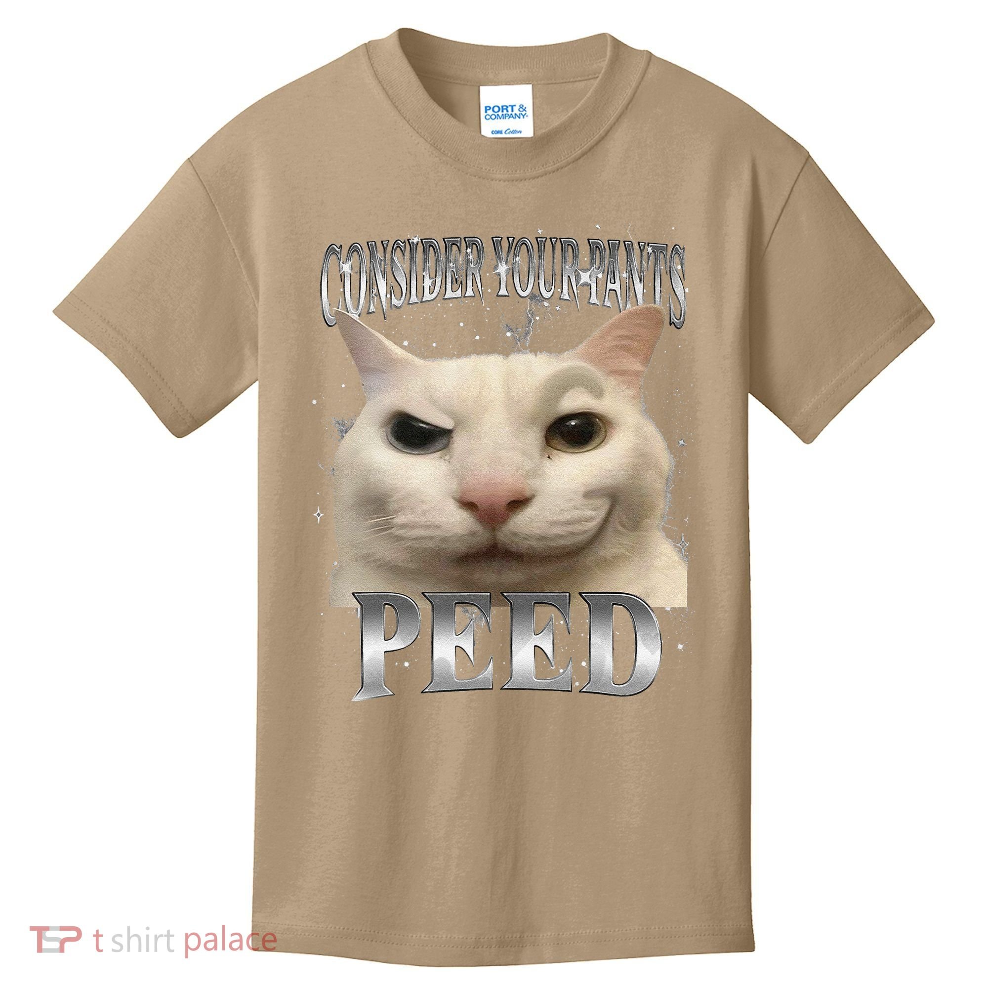 Consider Your Pants Peed Silly Cat Meme Kids T-Shirt