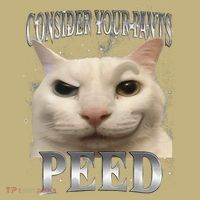 Consider Your Pants Peed Silly Cat Meme Kids T-Shirt thumb 2