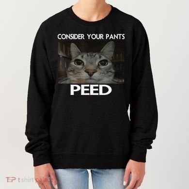 Consider Your Pants Peed Cat Funny Silly Cat Meme Women's Sweatshirt