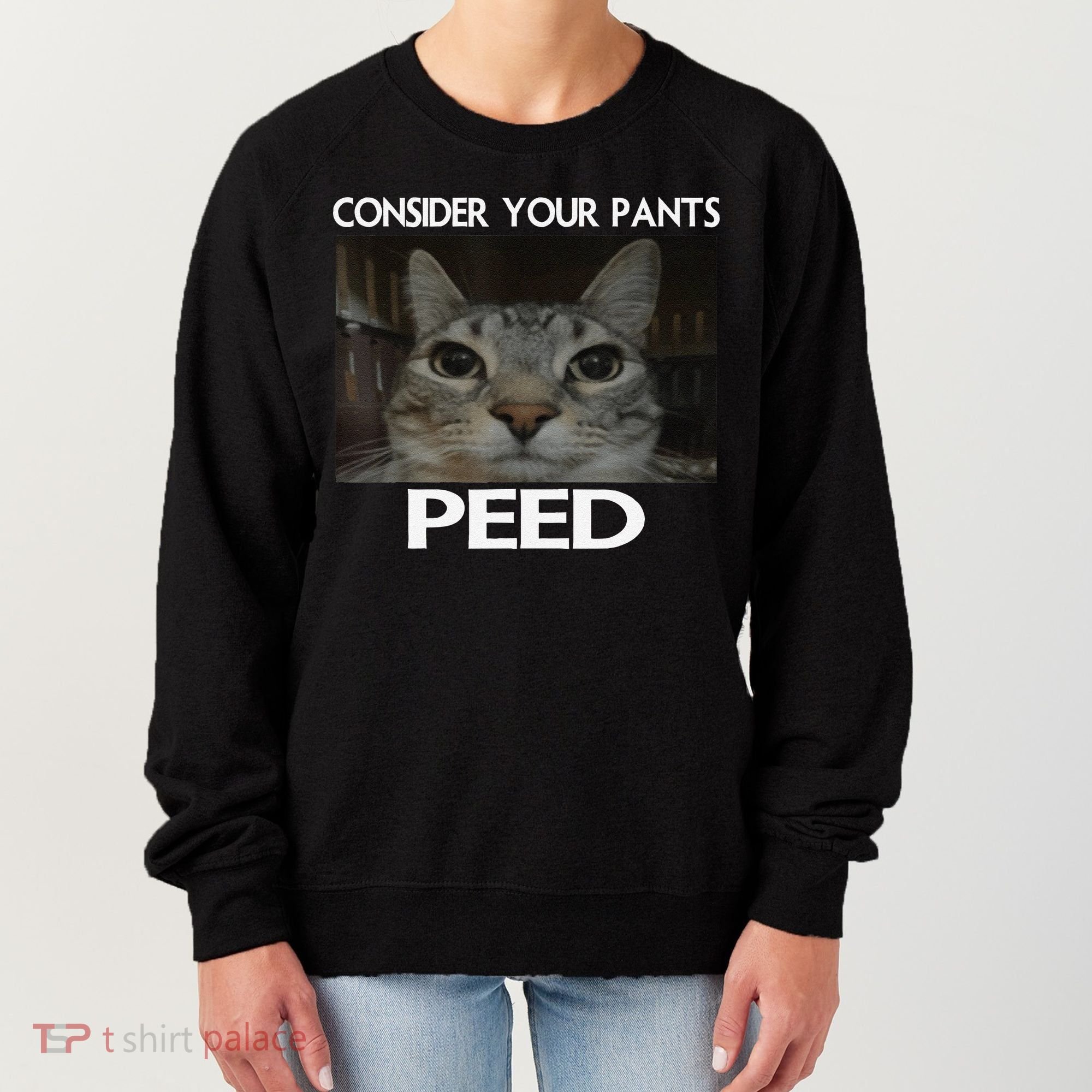 Consider Your Pants Peed Cat Funny Silly Cat Meme Women's Sweatshirt