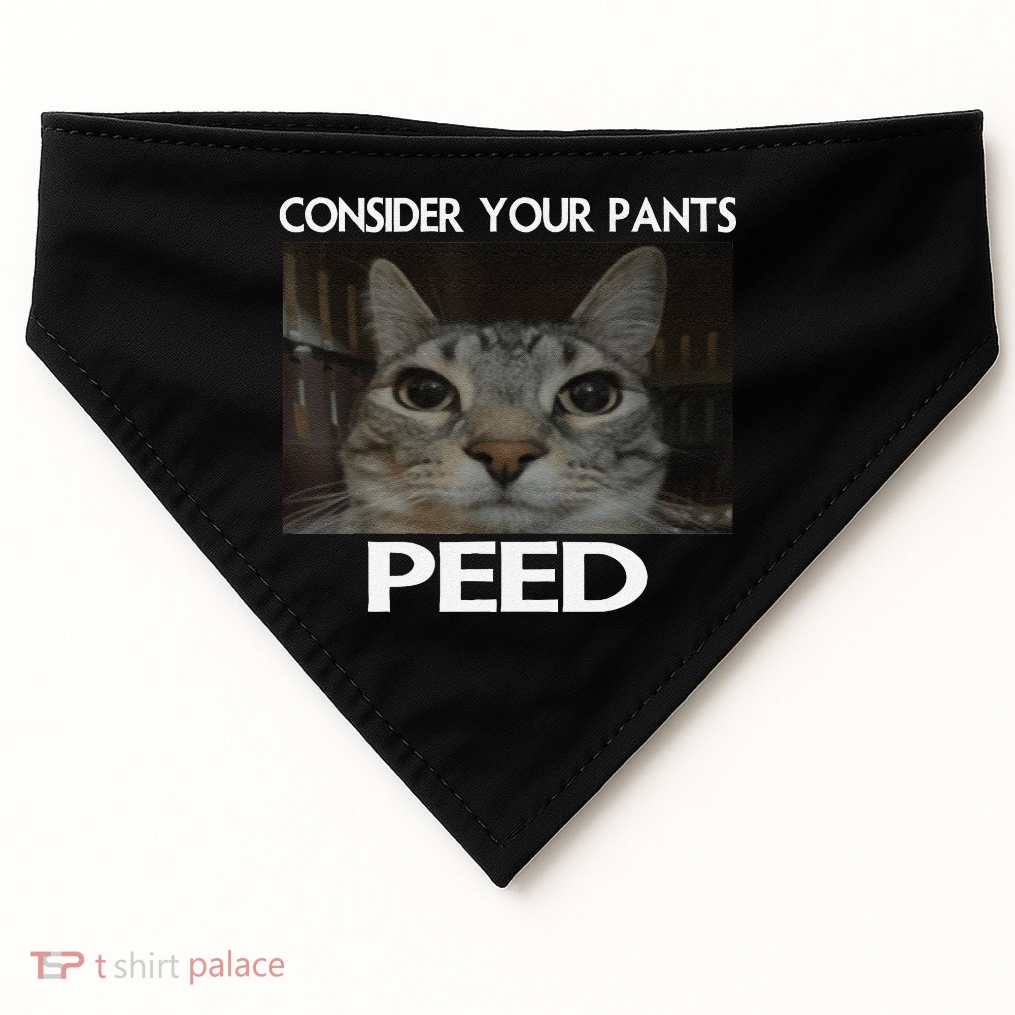 Consider Your Pants Peed Cat Funny Silly Cat Meme USA-Made Doggie Bandana