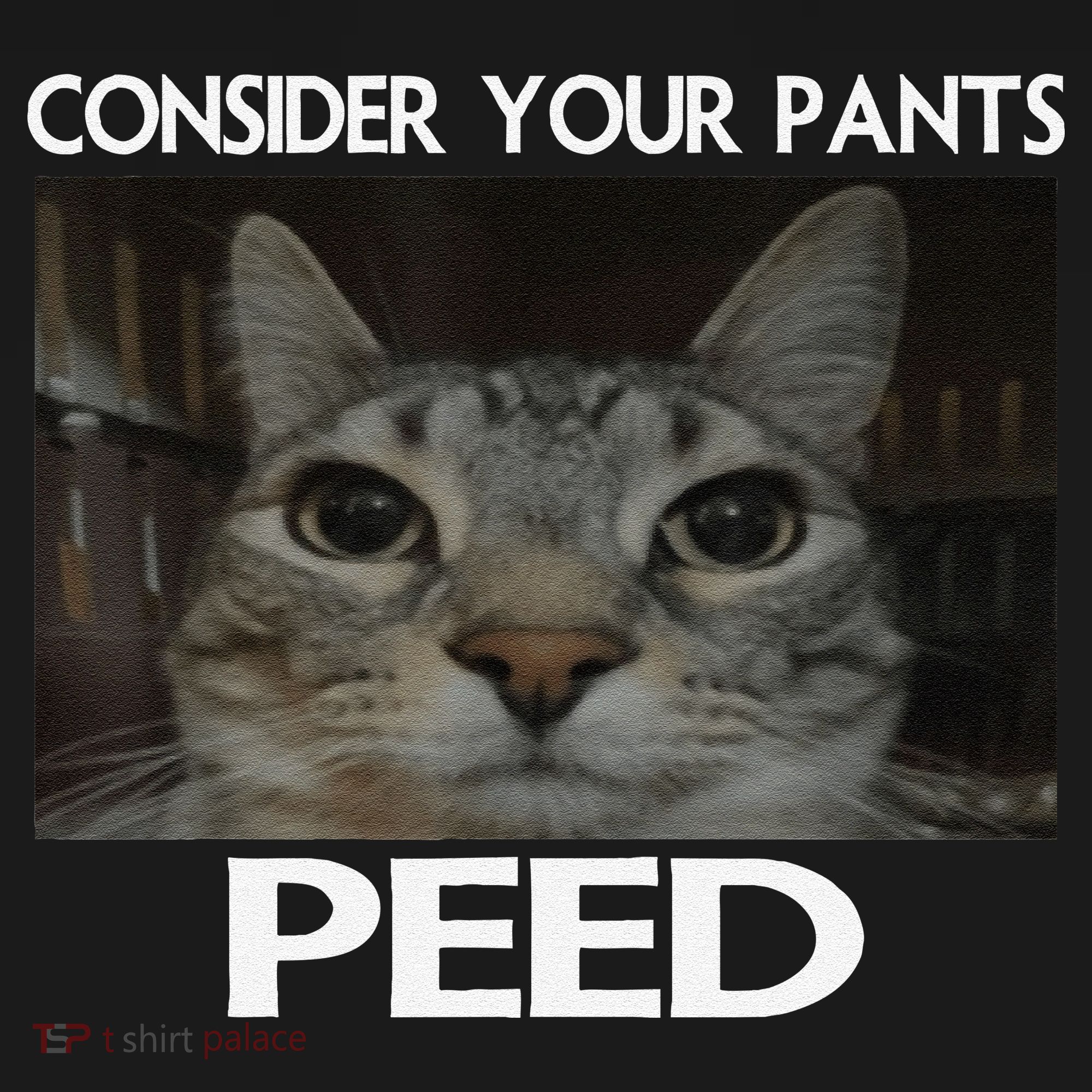Consider Your Pants Peed Cat Funny Silly Cat Meme USA-Made Doggie Bandana