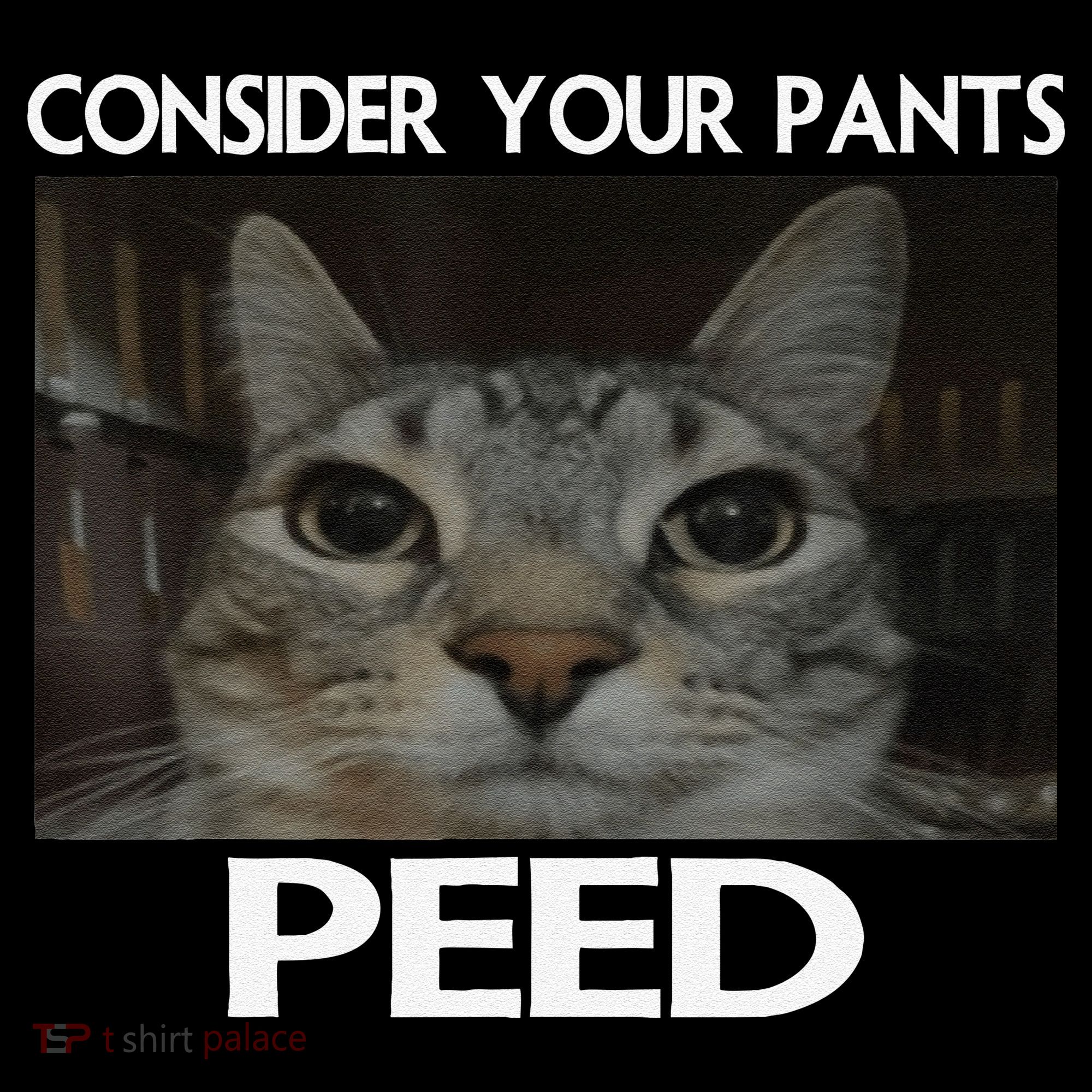 Consider Your Pants Peed Cat Funny Silly Cat Meme Apron