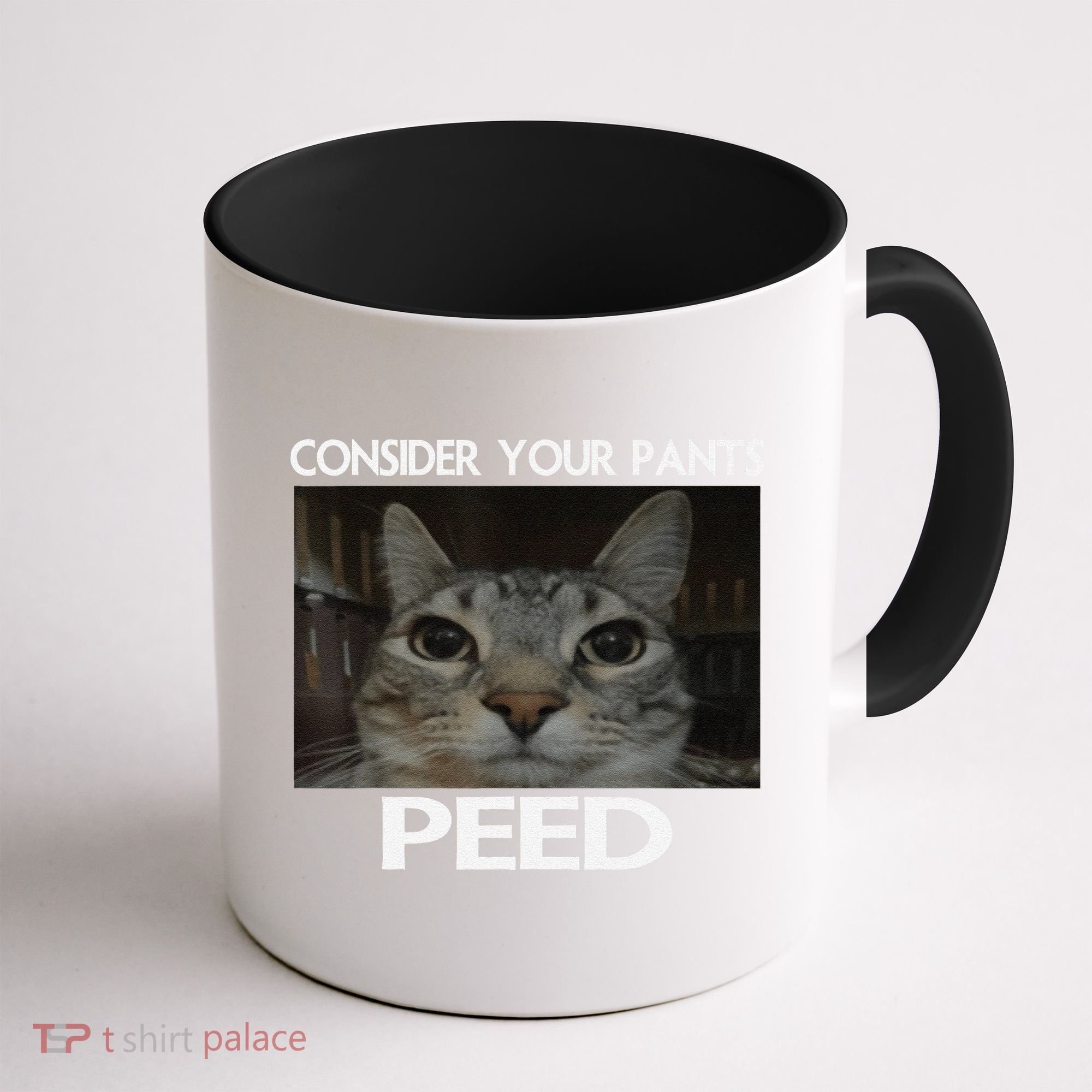 Consider Your Pants Peed Cat Funny Silly Cat Meme Coffee Mug
