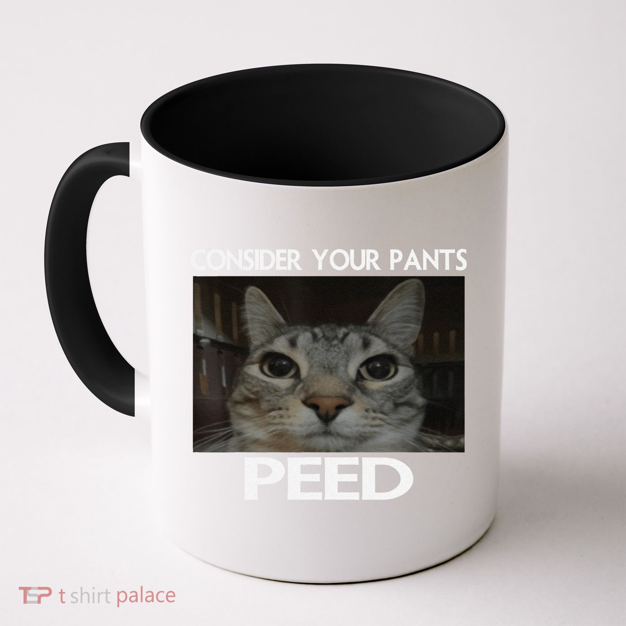 Consider Your Pants Peed Cat Funny Silly Cat Meme Coffee Mug
