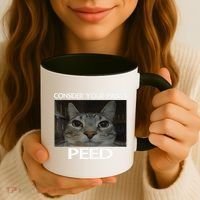 Consider Your Pants Peed Cat Funny Silly Cat Meme Coffee Mug thumb 3
