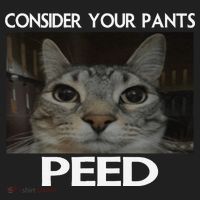 Consider Your Pants Peed Cat Funny Silly Cat Meme Beanie thumb 2