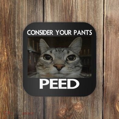 Consider Your Pants Peed Cat Funny Silly Cat Meme Coaster