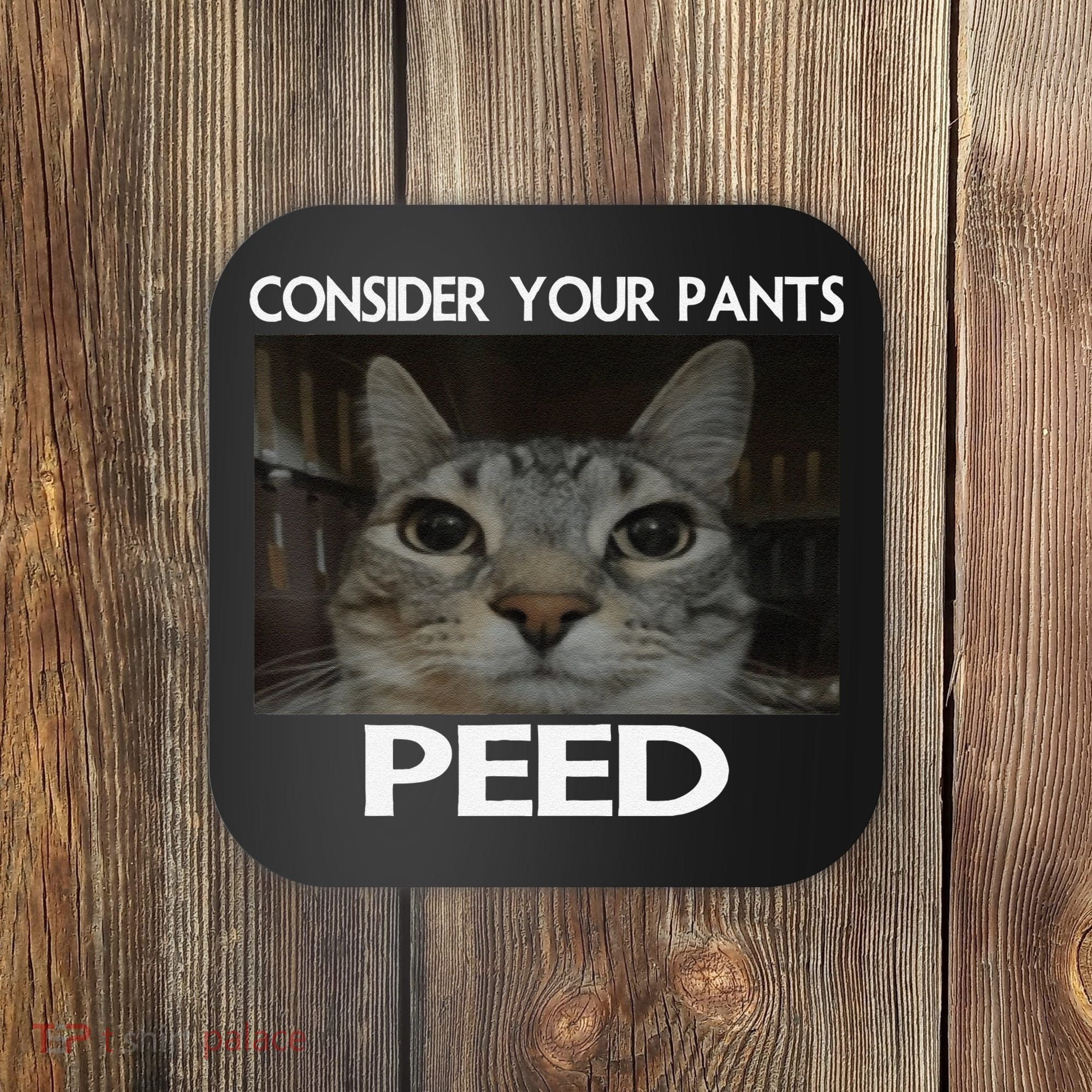 Consider Your Pants Peed Cat Funny Silly Cat Meme Coaster